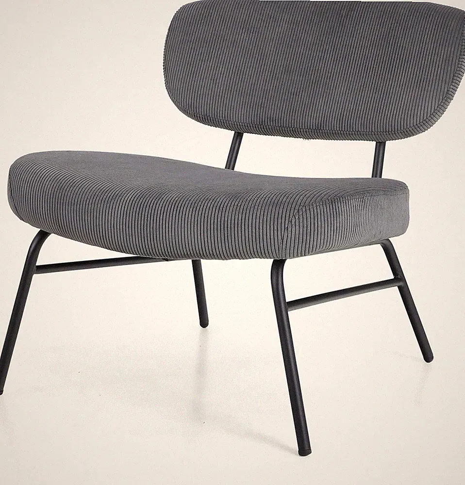 Accent Chairs for Living Room Armchair with Upholstered Lounge Modern Furniture